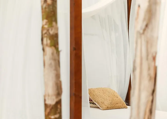 Nativo Ibiza 4* 圣埃乌拉利亚